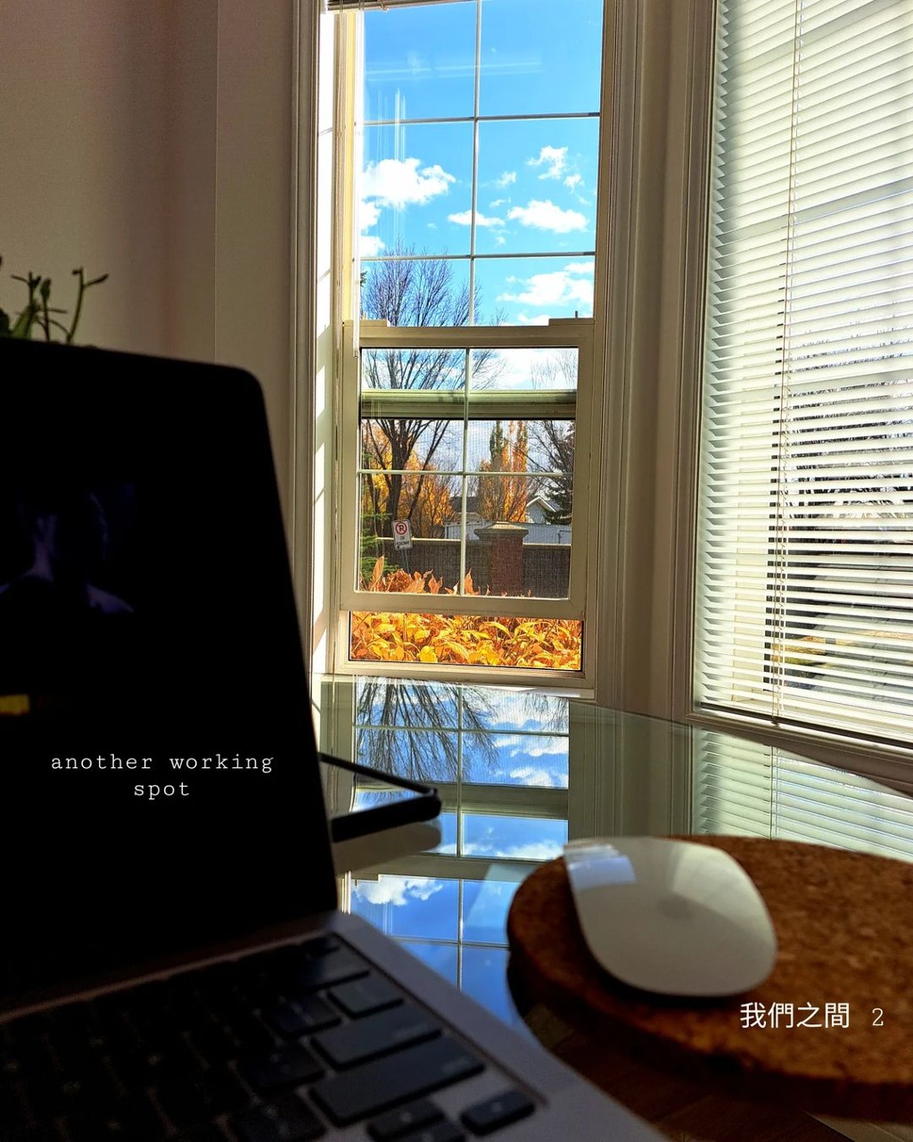 一年四季都不同景色。